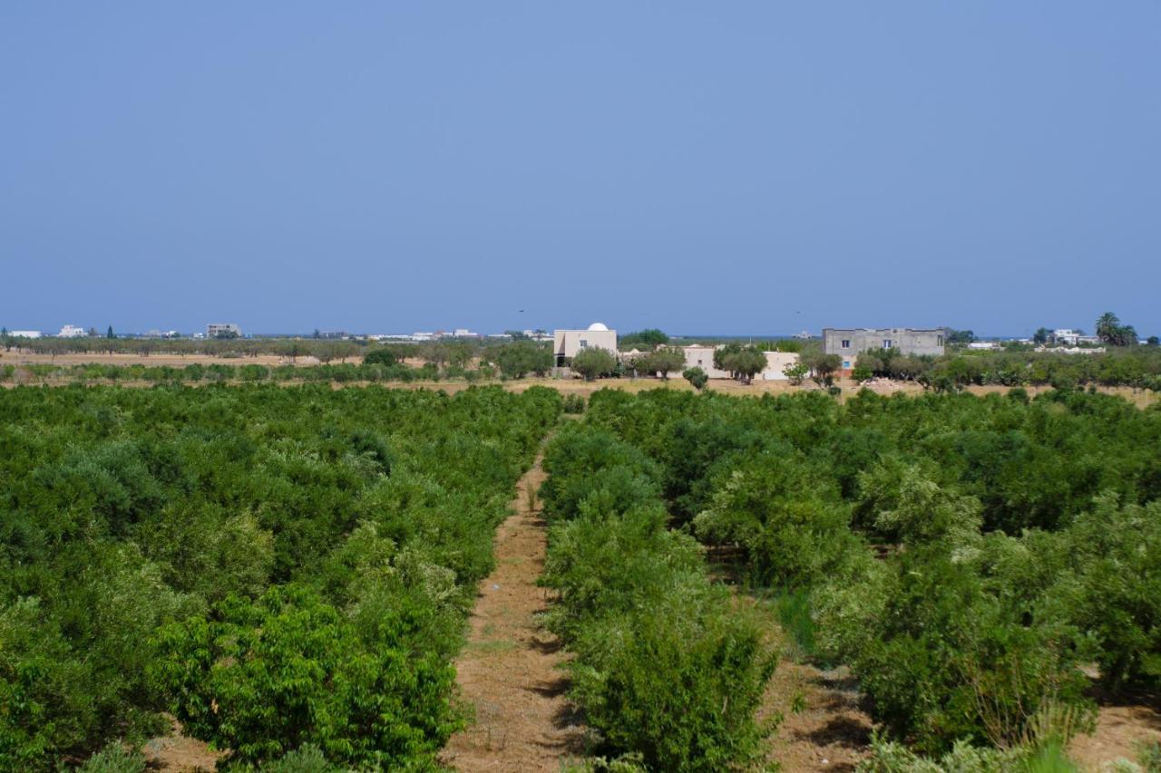 Villa Olivia, Yasmine Hammamet, Bouficha Екстериор снимка