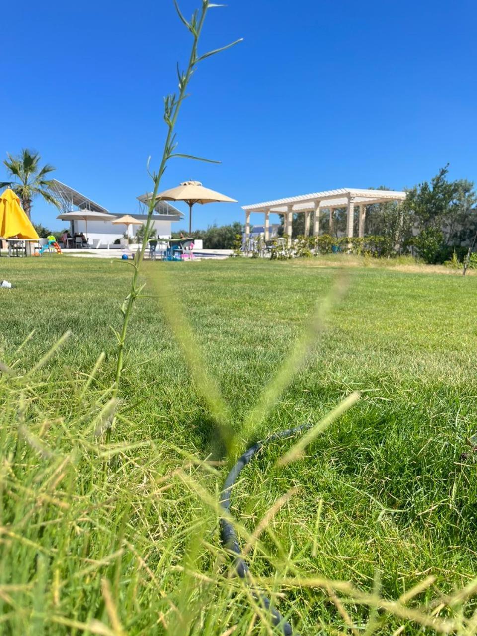 Villa Olivia, Yasmine Hammamet, Bouficha Екстериор снимка