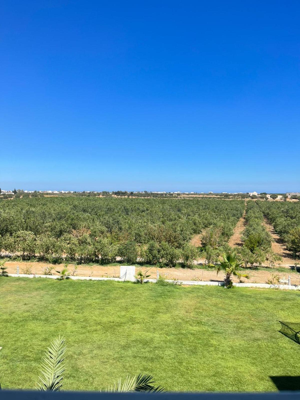 Villa Olivia, Yasmine Hammamet, Bouficha Екстериор снимка