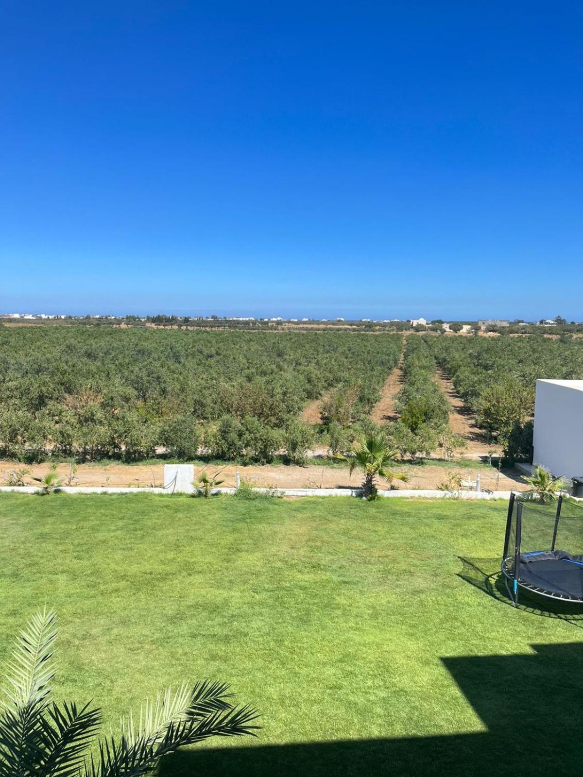 Villa Olivia, Yasmine Hammamet, Bouficha Екстериор снимка