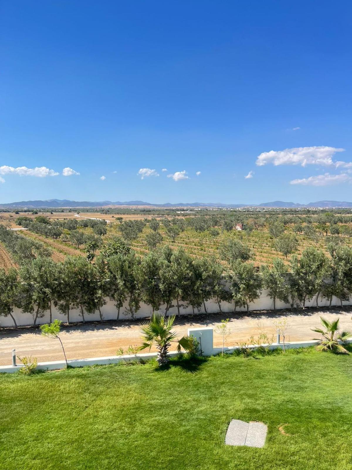 Villa Olivia, Yasmine Hammamet, Bouficha Екстериор снимка